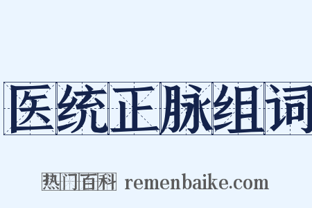 医统正脉组词是什么意思的图片